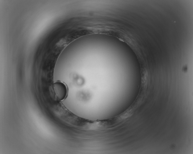 X0000116790430200912181258