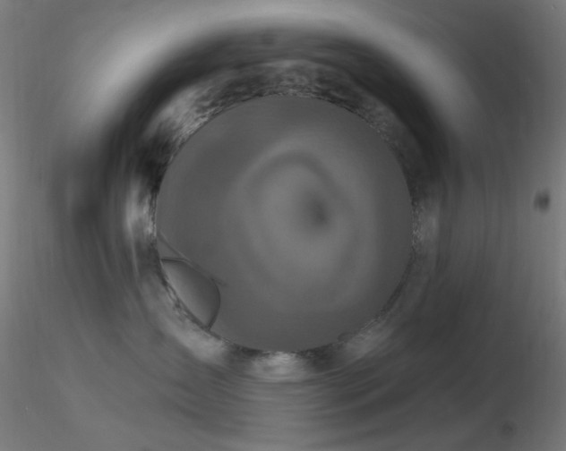 X0000116790431200912181258