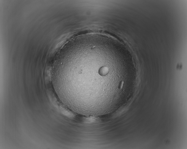 X0000116790432200912181258