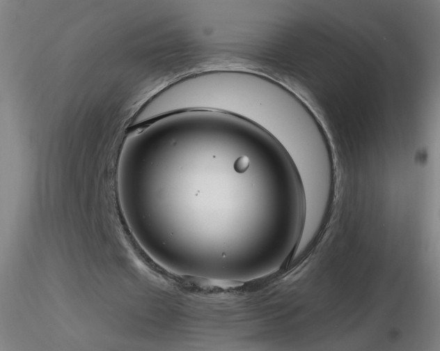 X0000116790433200912181257