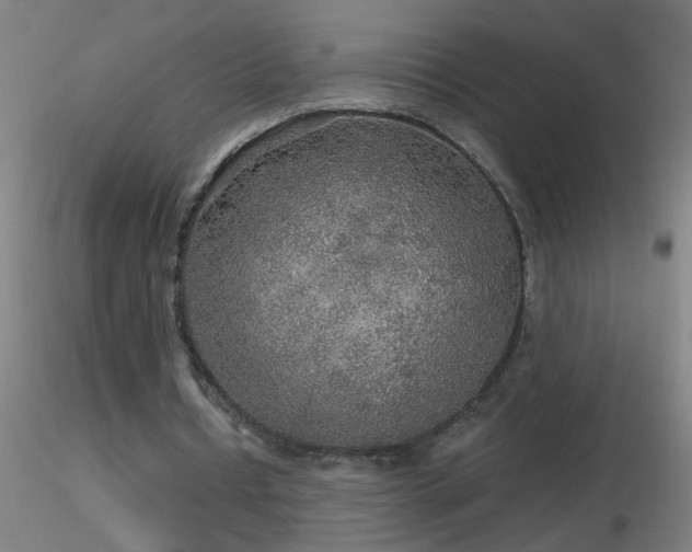 X0000116790434200912181257