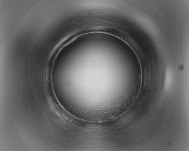 X0000116790435200912181257