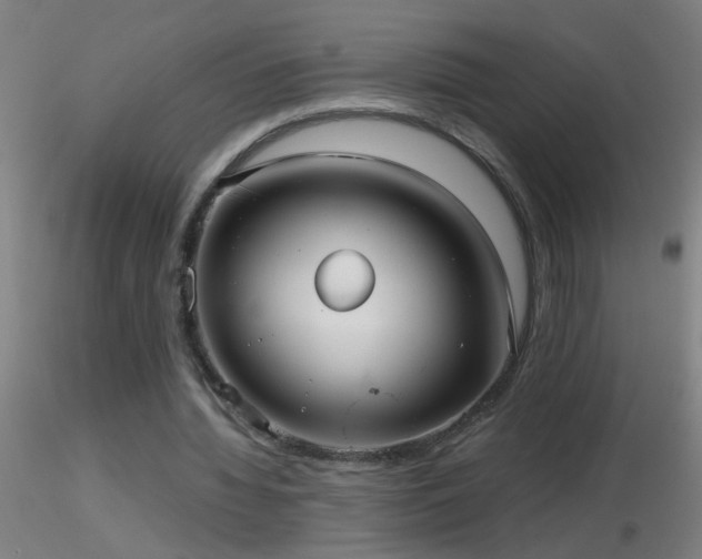 X0000116790436200912181257