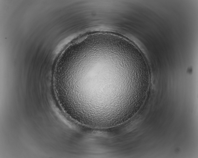 X0000116790437200912181257
