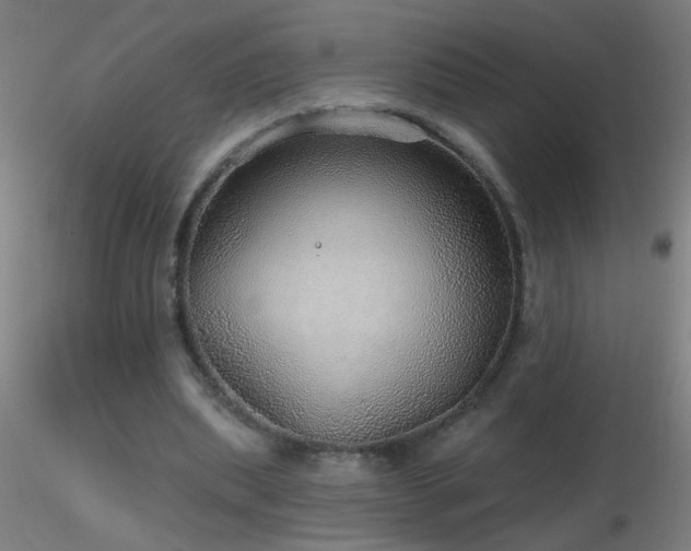 X0000116790439200912181257