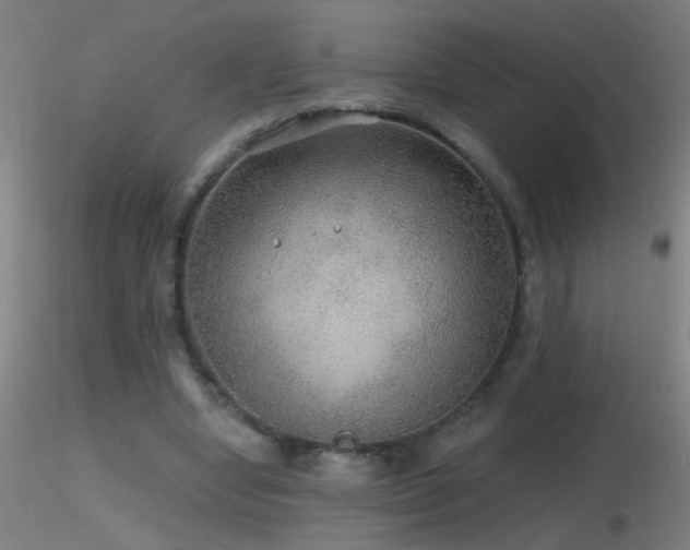 X0000116790442200912181258