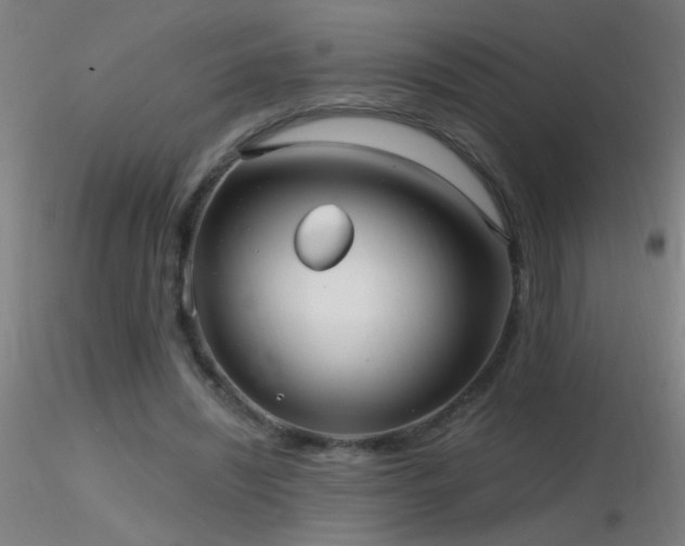 X0000116790444200912181258