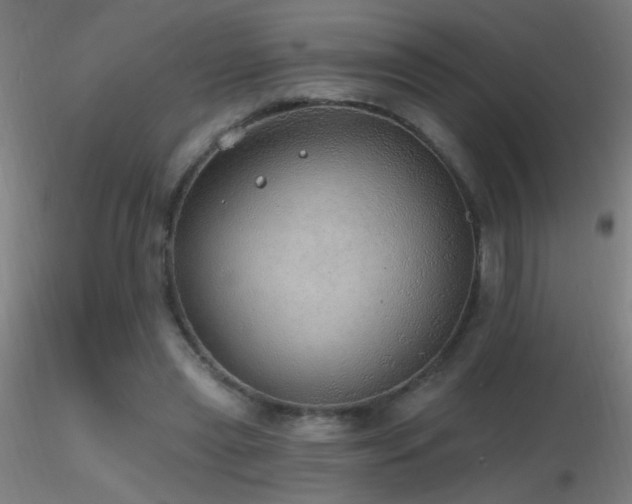 X0000116790445200912181258