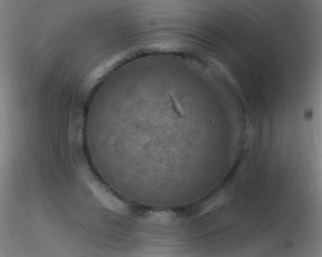 X0000116790446200912181258