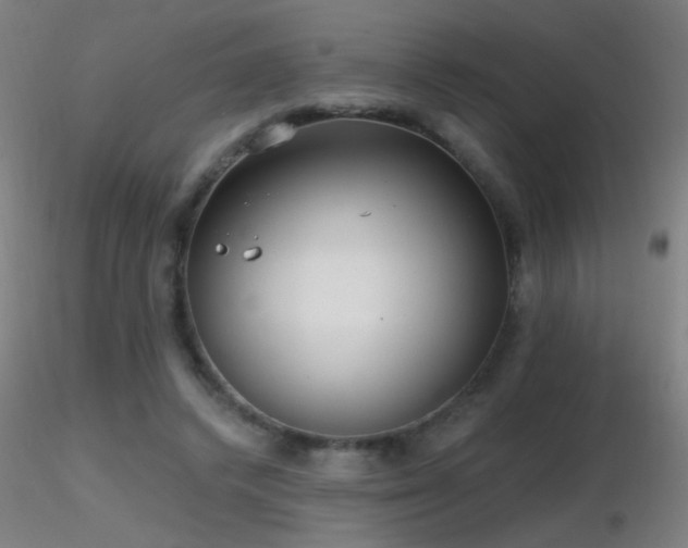 X0000116790448200912181258
