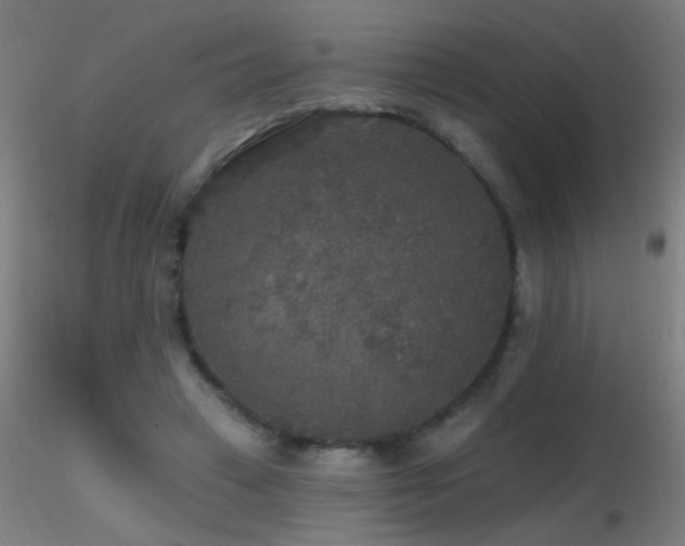 X0000116790449200912181258