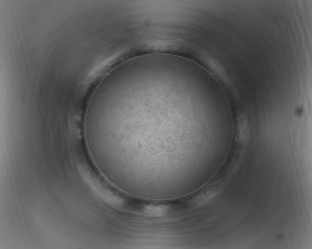 X0000116790450200912181258