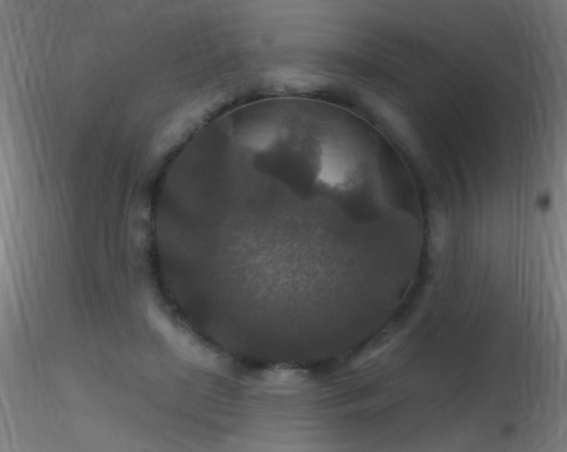X0000116790451200912181258