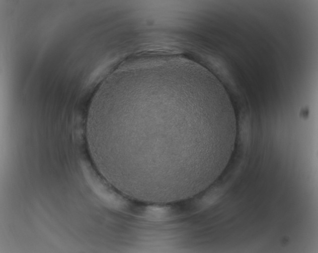 X0000116790457200912181258