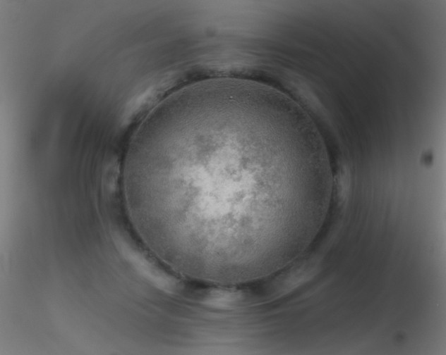 X0000116790458200912181258