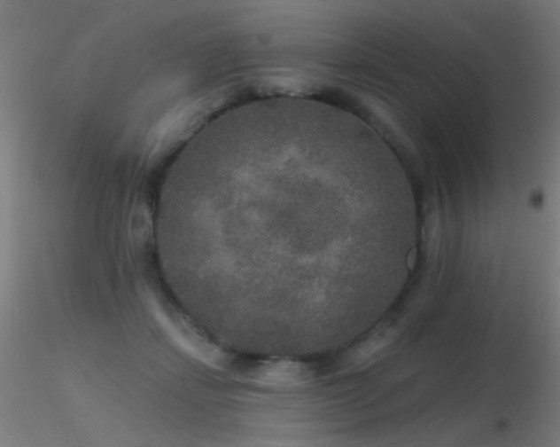 X0000116790459200912181258
