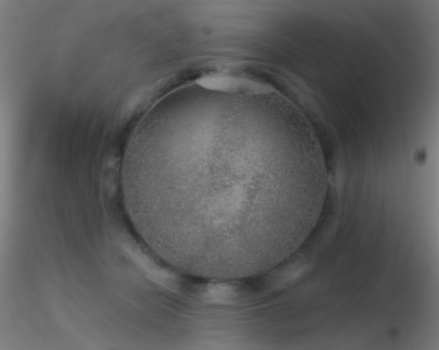 X0000116790462200912181258