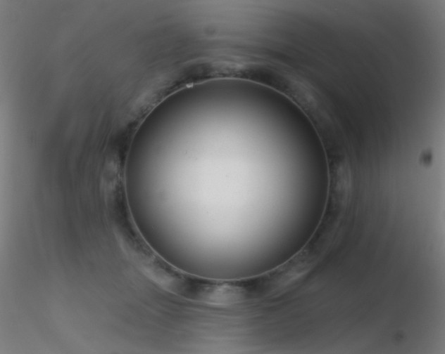 X0000116790463200912181258