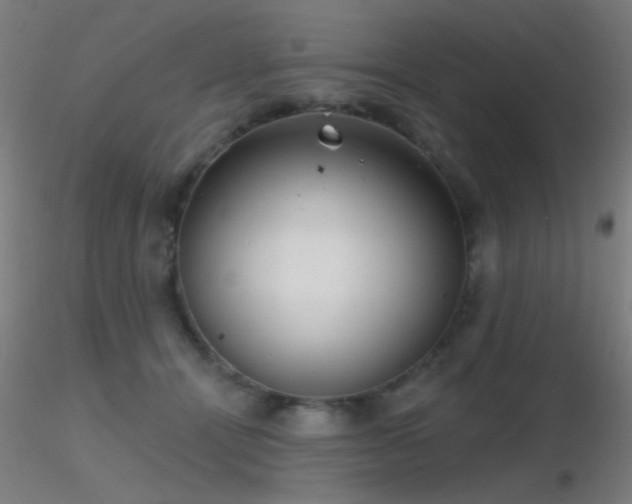 X0000116790464200912181258