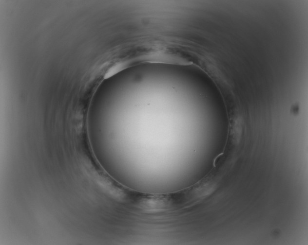 X0000116790466200912181258