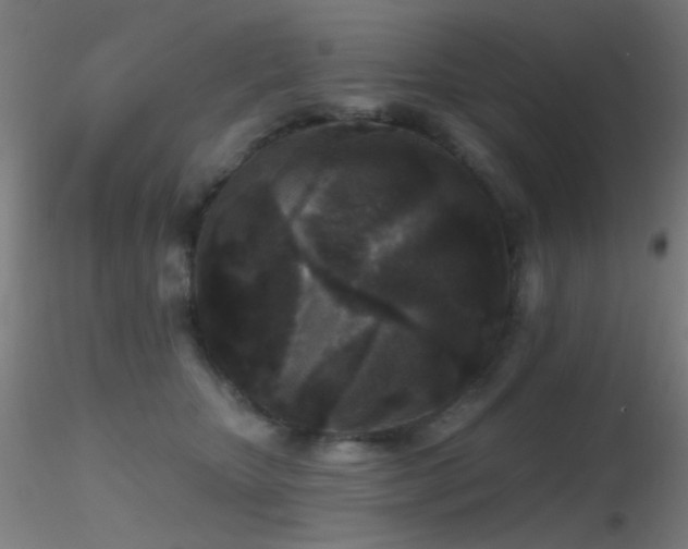 X0000116790467200912181258