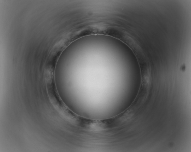 X0000116790468200912181258