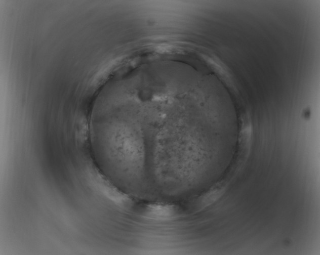 X0000116790469200912181258