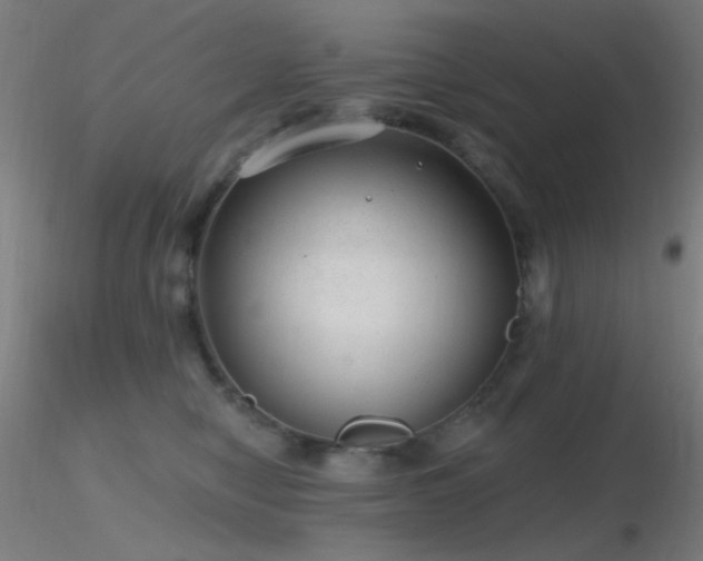 X0000116790470200912181258