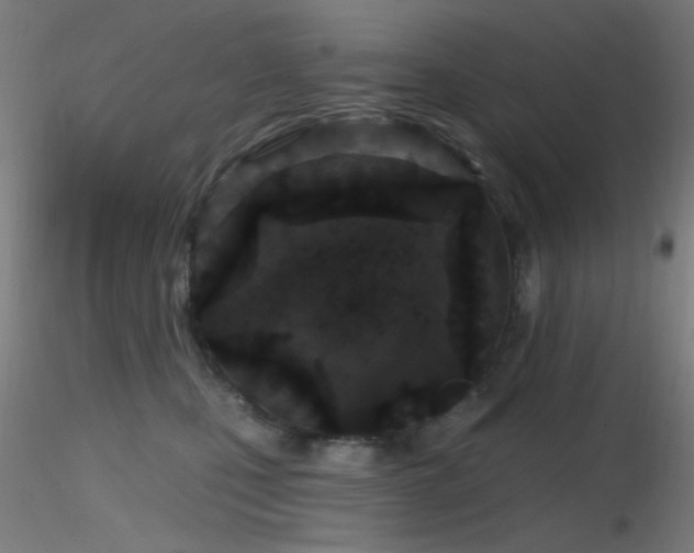 X0000116790471200912181258