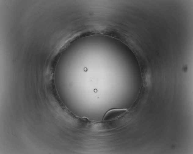 X0000116790472200912181258
