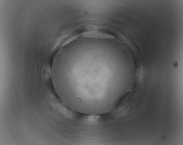 X0000116790474200912181258