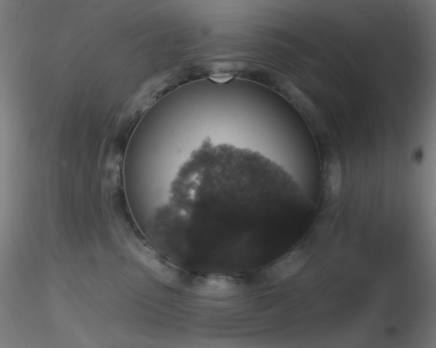X0000116790475200912181258