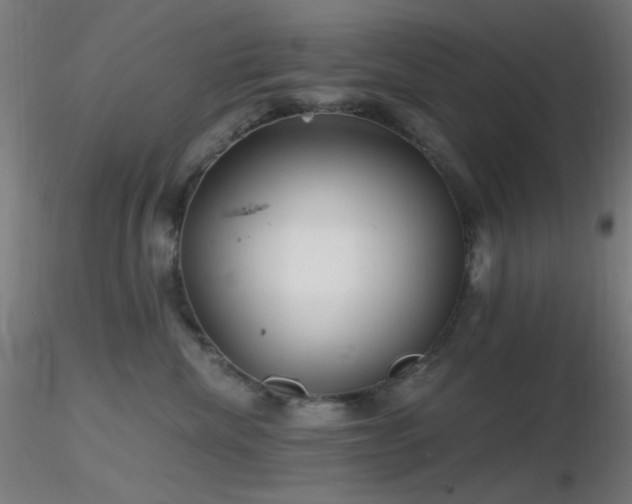 X0000116790476200912181258