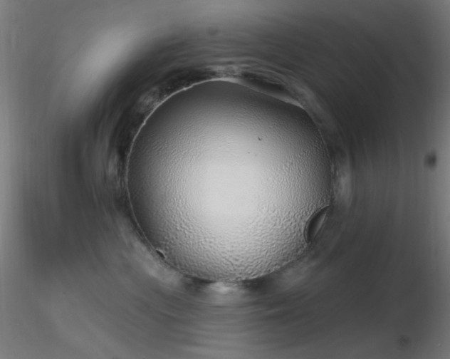 X0000116790477200912181258
