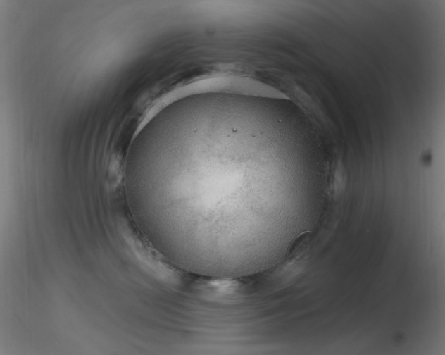 X0000116790478200912181258