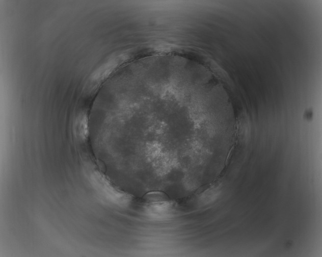 X0000116790479200912181258