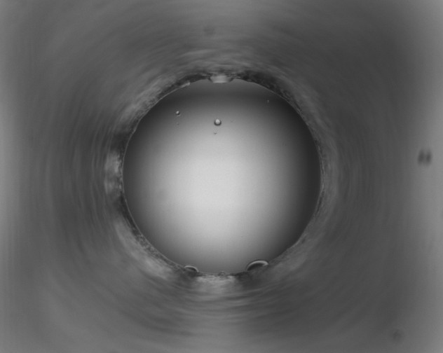 X0000116790480200912181258