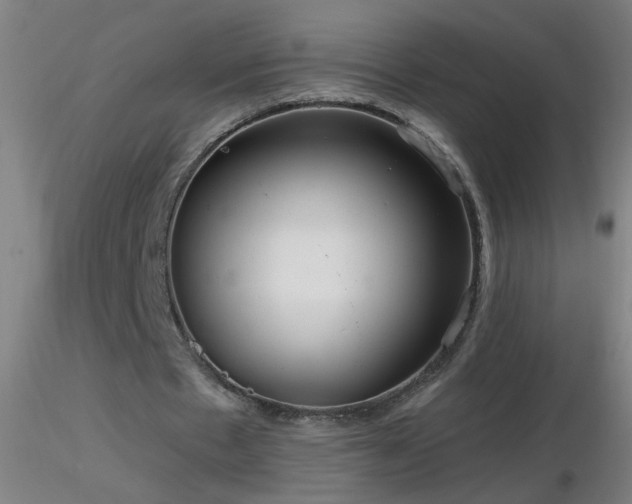 X0000116790481200912181257