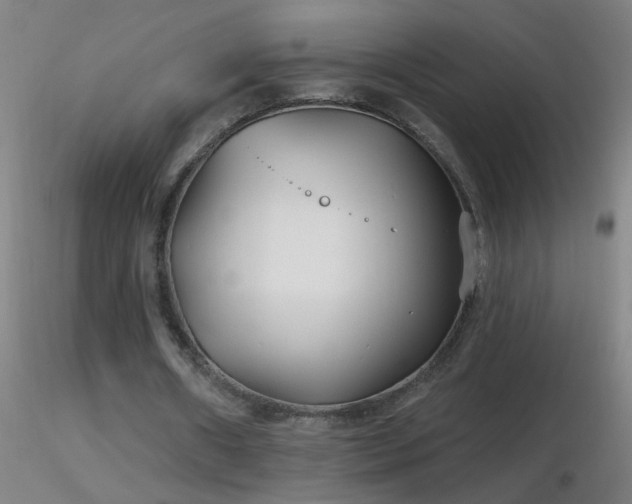 X0000116790482200912181257