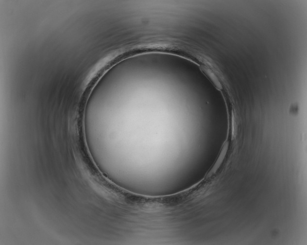 X0000116790483200912181257