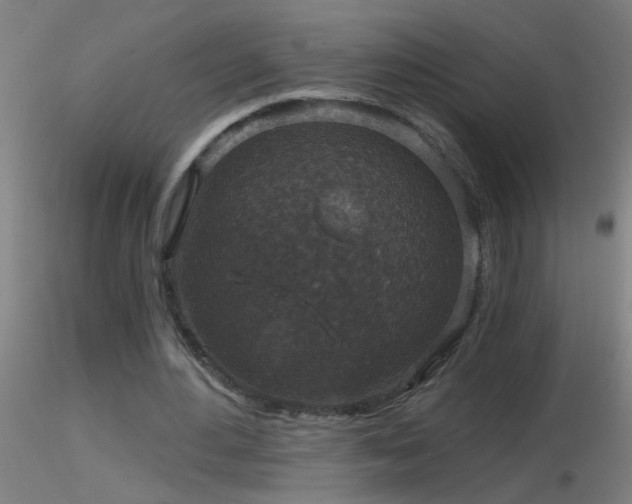 X0000116790484200912181257