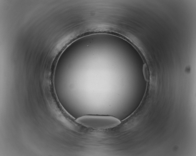 X0000116790485200912181257