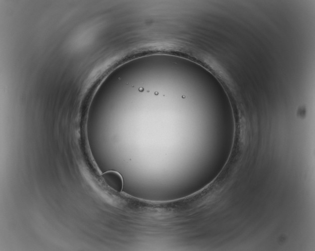 X0000116790486200912181257