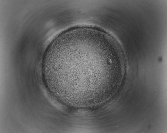 X0000116790487200912181257