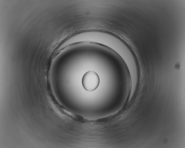 X0000116790489200912181257