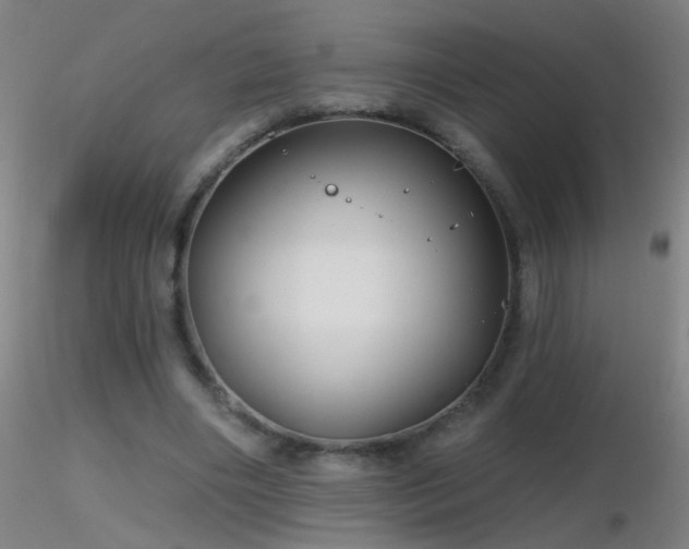 X0000116790490200912181257
