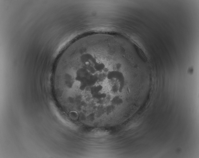 X0000116790491200912181257