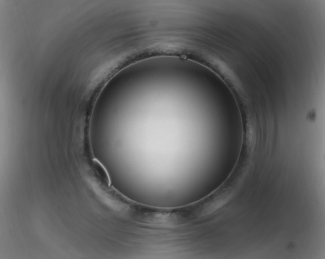 X0000116790493200912181257