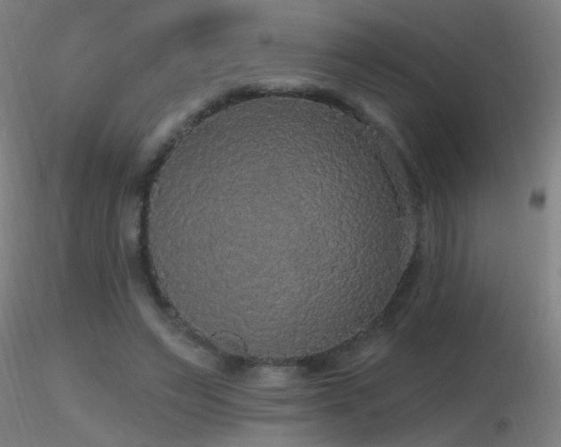 X0000116790495200912181257