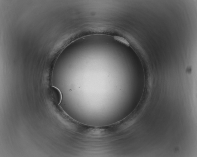 X0000116790497200912181257